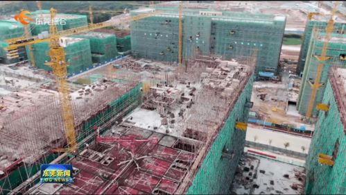 我市提前完成年度重大項目開工任務，累計新開工142個