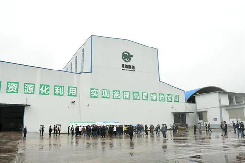 石膏新紀(jì)元 走進(jìn)優(yōu)質(zhì)石膏工廠，見(jiàn)證機(jī)械化施工的力量